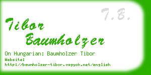 tibor baumholzer business card